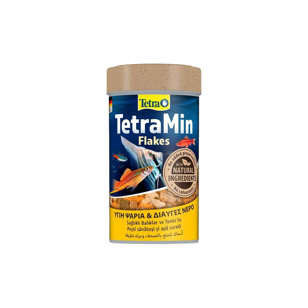 TetraMin Flakes 100ml