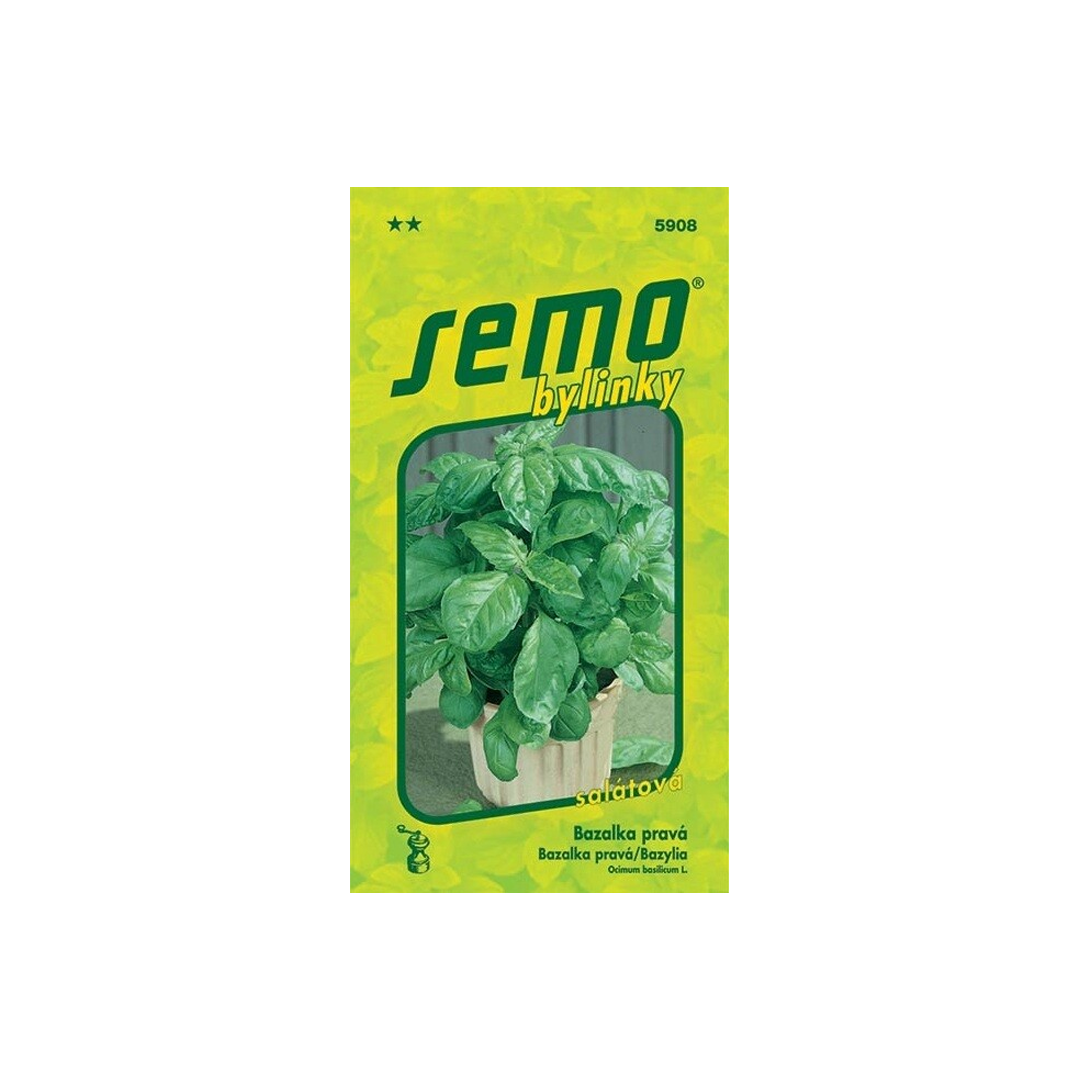 Bazalka pravá Lettuce Leaf 1g SEMO