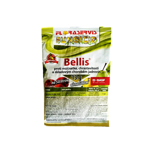 Bellis 13g