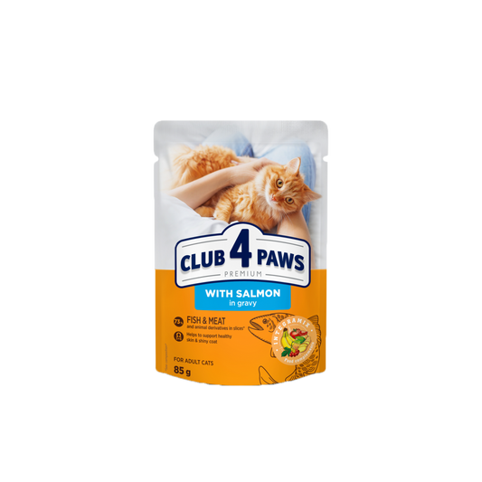 CLUB 4 PAWS salmon in gravy 85g