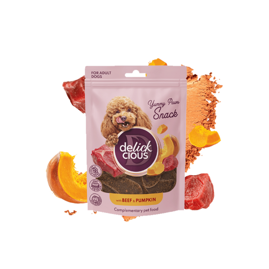 Delickcious snack Beef 80g