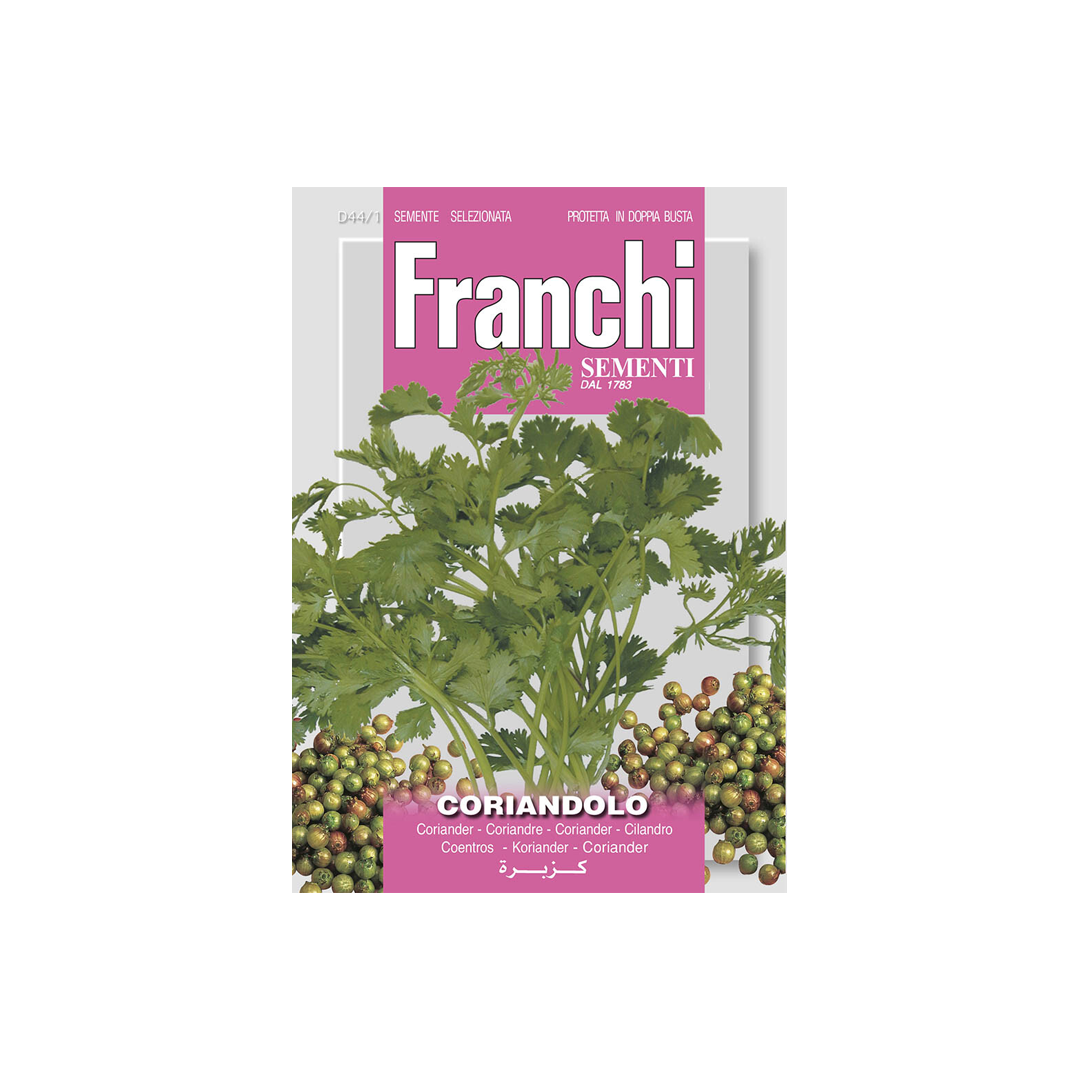 Koriander FRANCHI