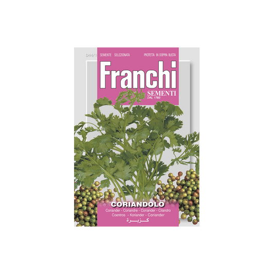 Koriander FRANCHI