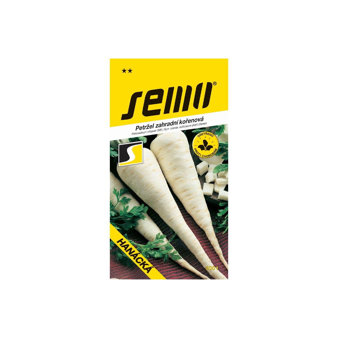 Petržlen kor. Hanácky SEMO