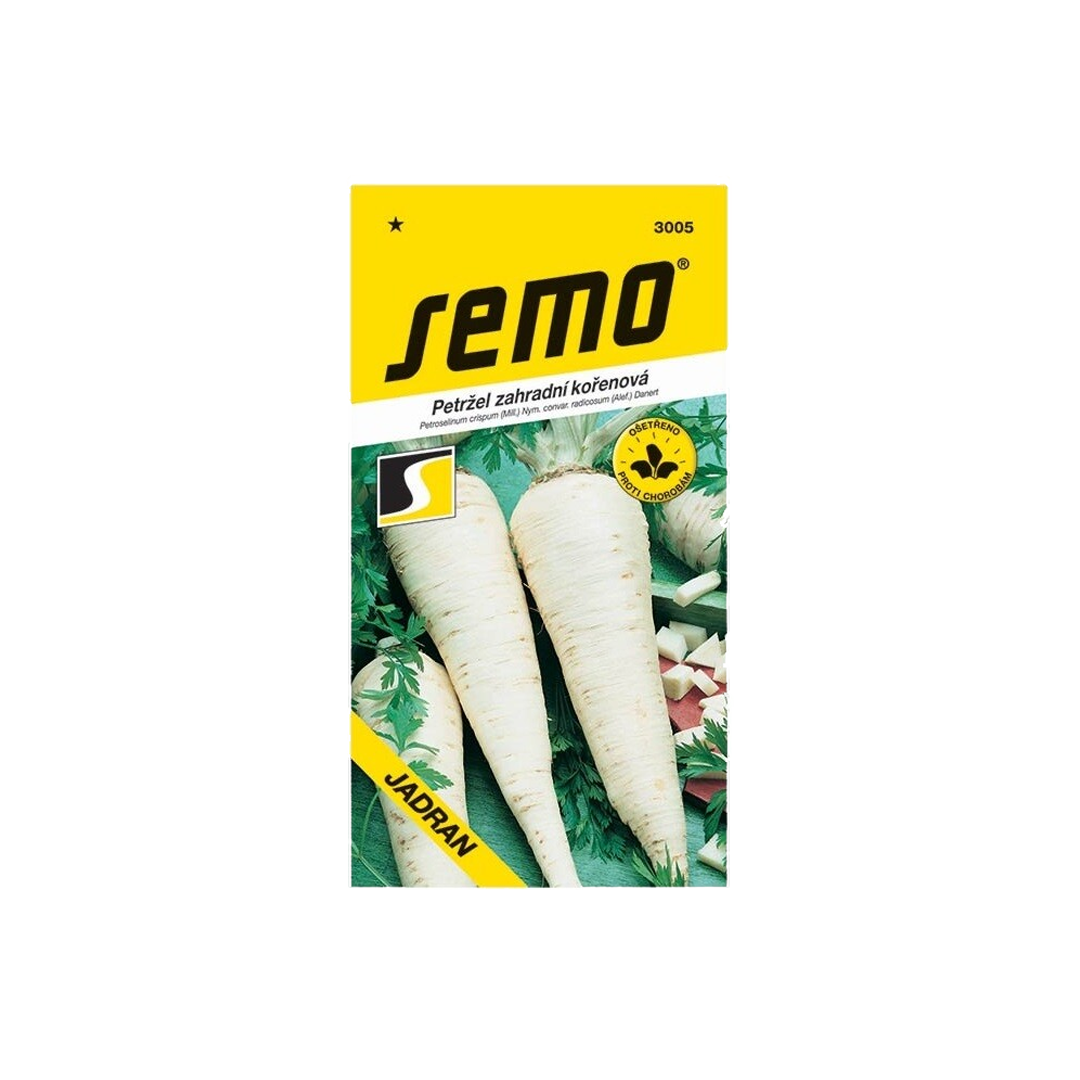 Petržlen koreňový Jadran 2.5g SEMO