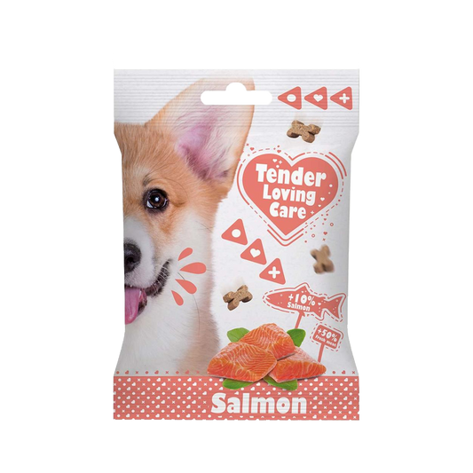 Snack DUVO+ Soft DOG Salmon 100g