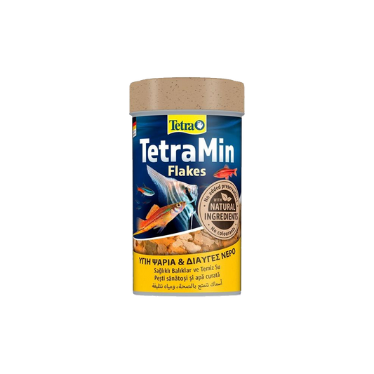 TetraMin Flakes 100ml